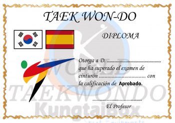 diploma taekwondo FINAL web